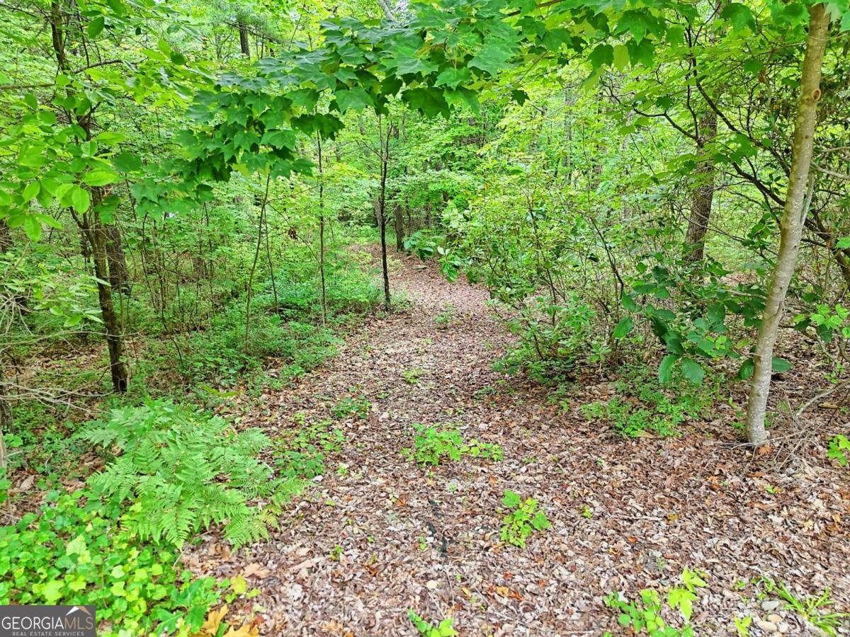 990 Hickory Nut Mountain Road Tallulah Falls - 54