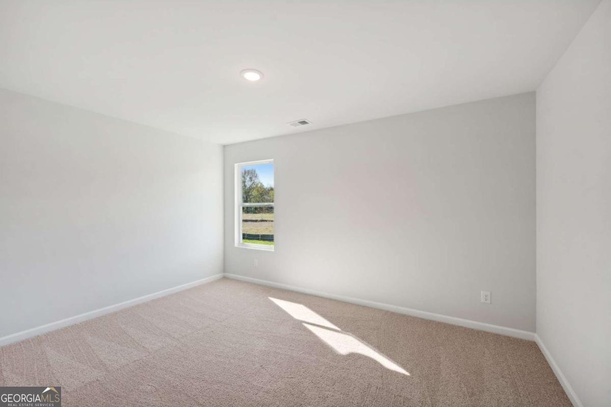 11847 Rizvan Place Covington - 30