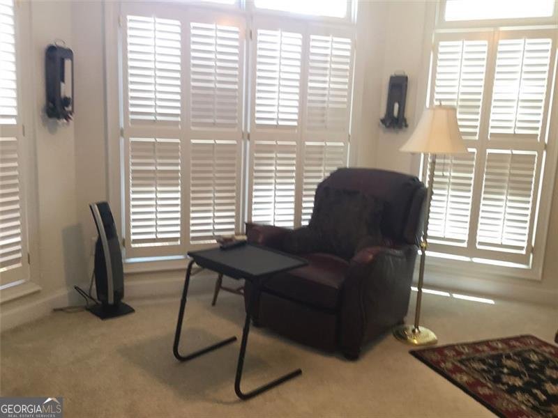 2392 IVY MOUNTAIN Drive Snellville - 9