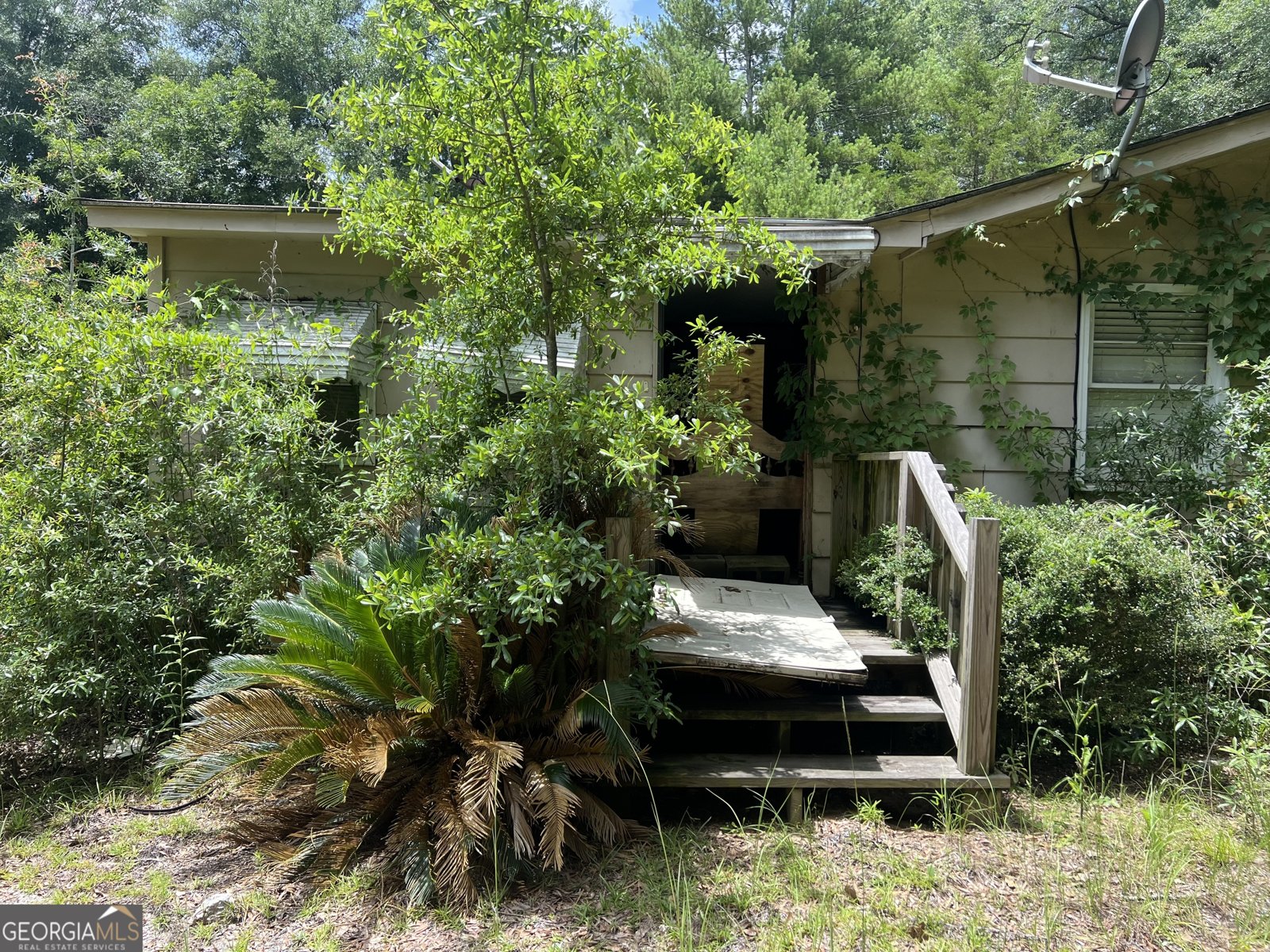 45 Oakwood Drive Oglethorpe - 3