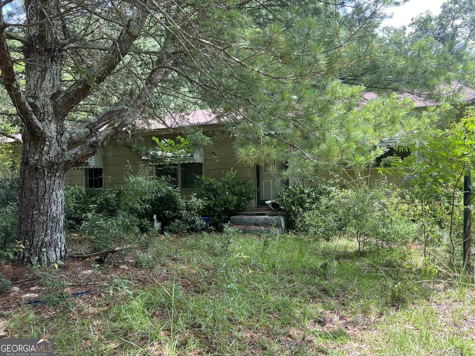 45 Oakwood Drive Oglethorpe - 4