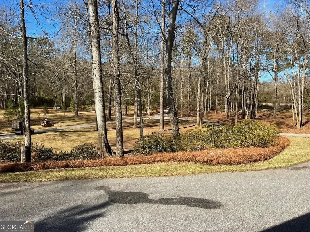 502 Old Dames Ferry Road Juliette - 42