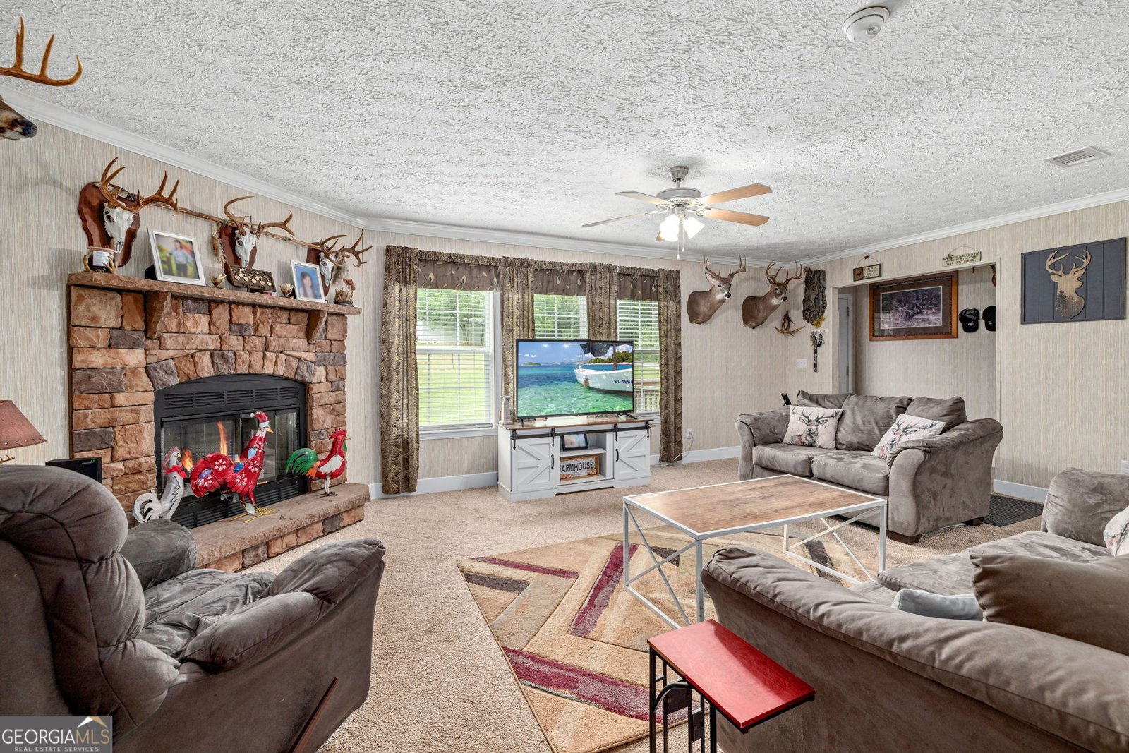 319 Aderhold Road Carnesville - 11