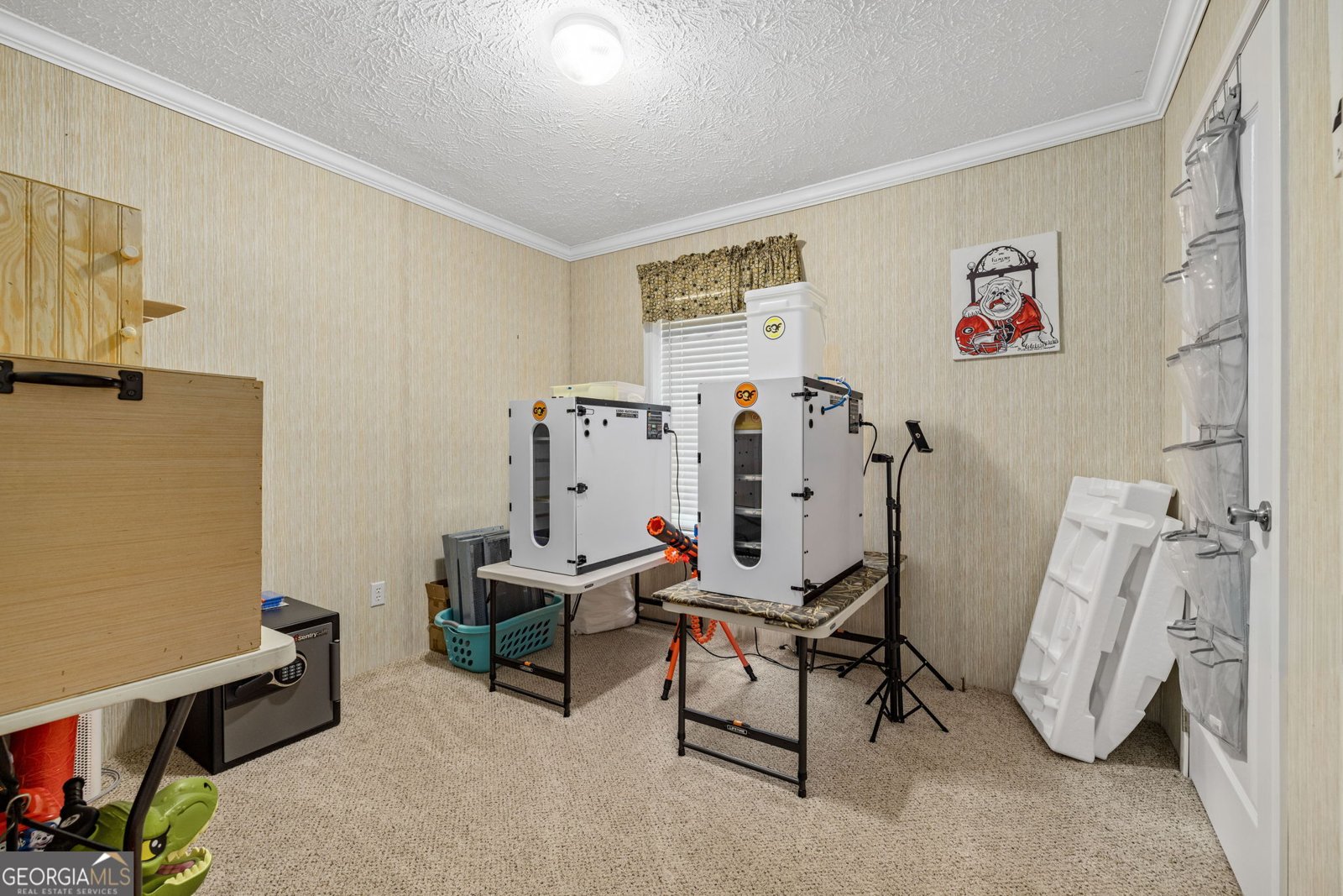319 Aderhold Road Carnesville - 29