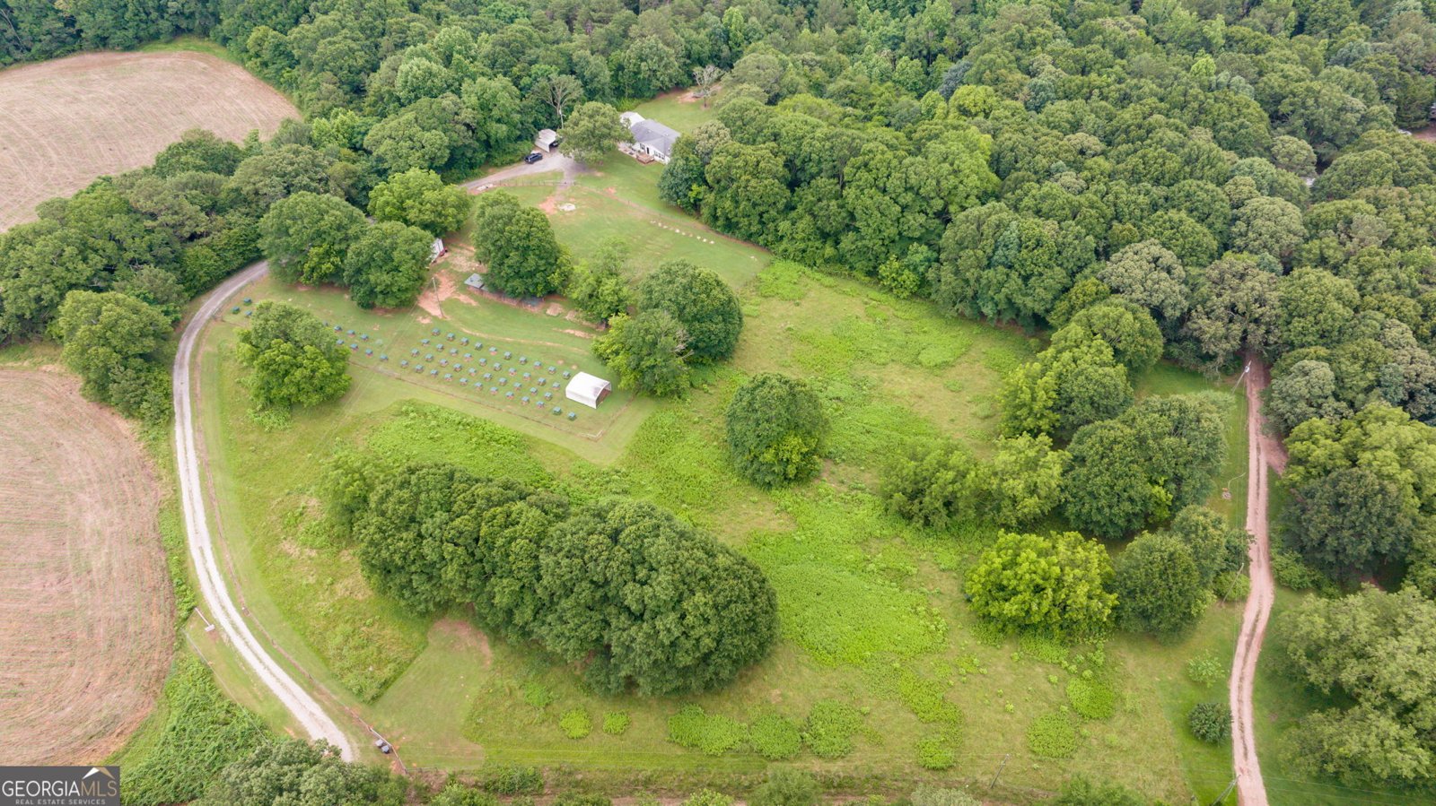 319 Aderhold Road Carnesville - 45