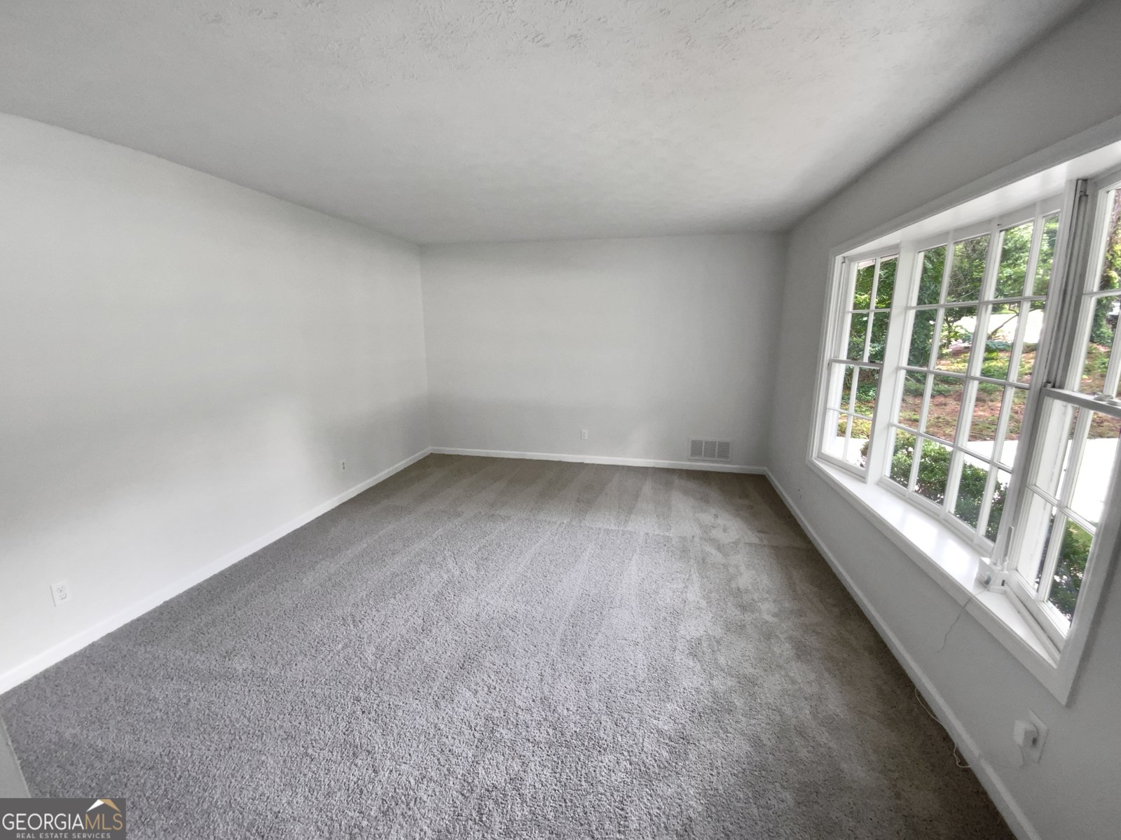 540 Stockwood Drive Woodstock - 3