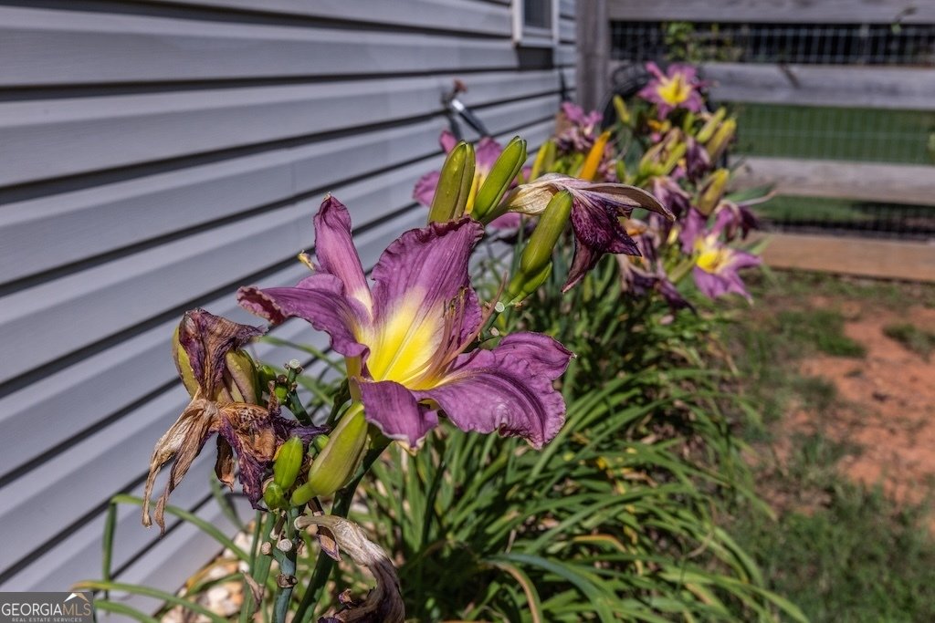425 Makers Way Dawsonville - 2