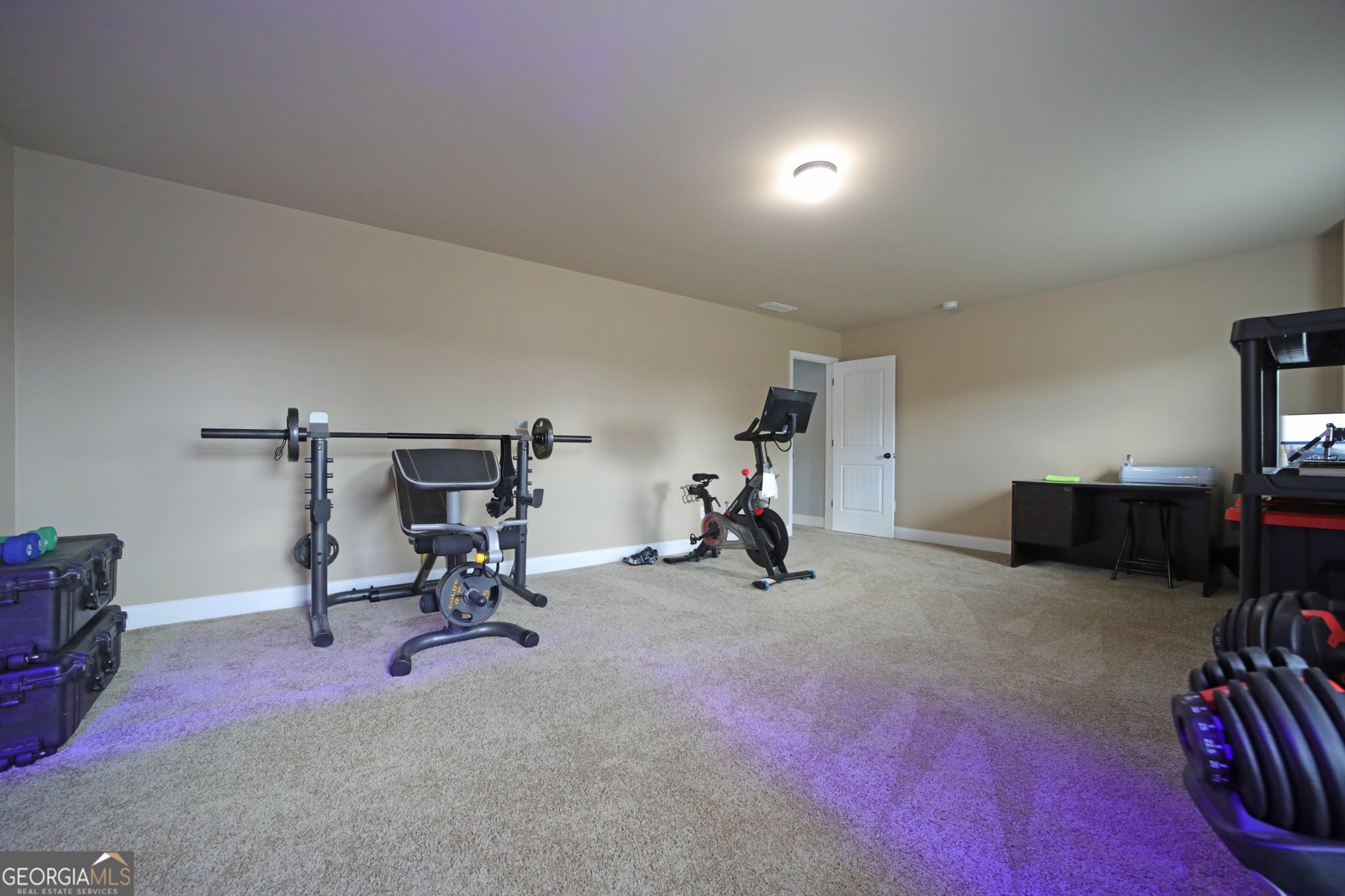 293 Ironwood Drive Stockbridge - 55