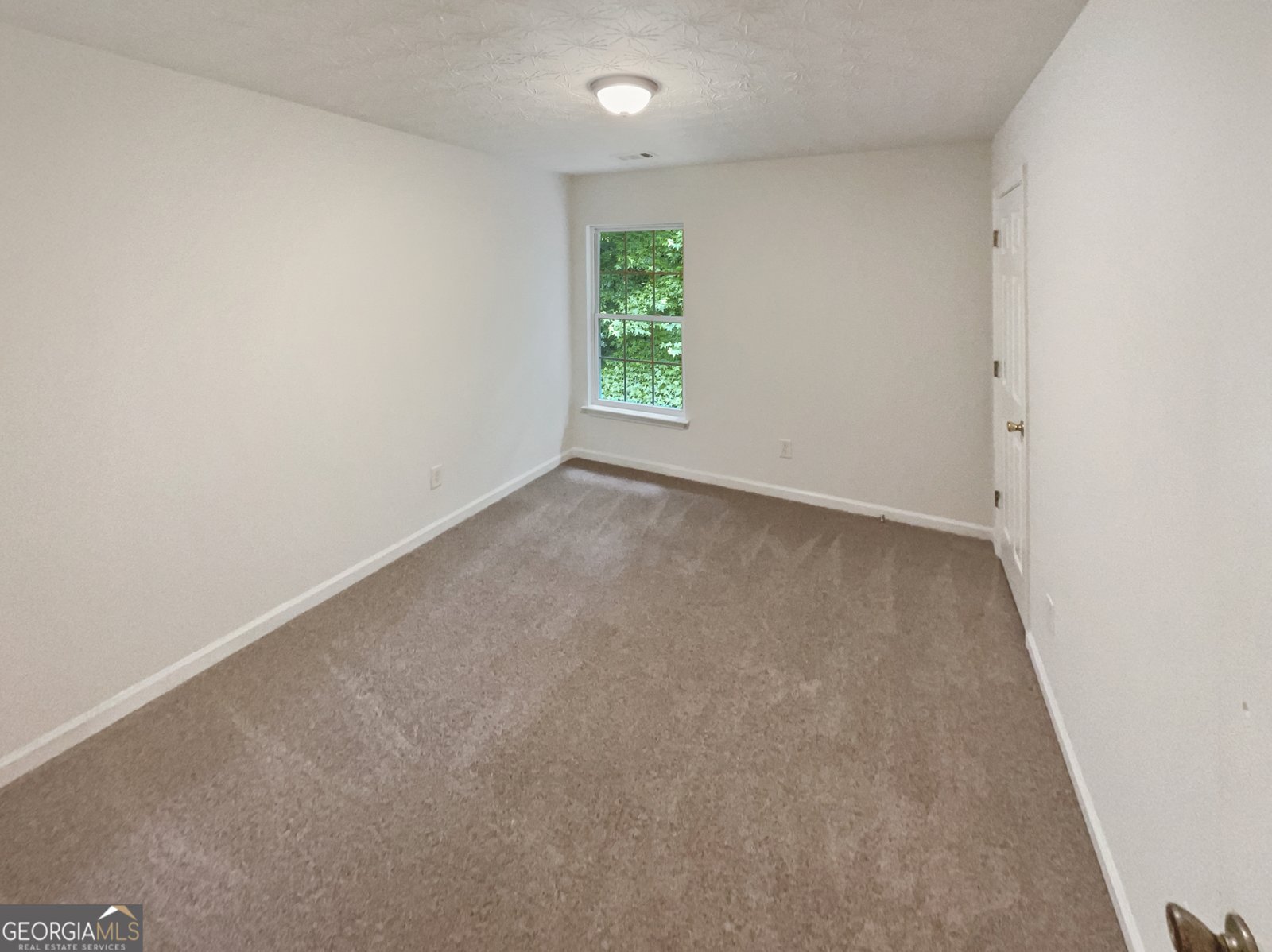 6240 Shenfield Lane Union City - 12