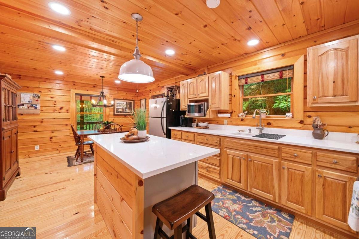 64 BEAR BELLY Path Ellijay - 26