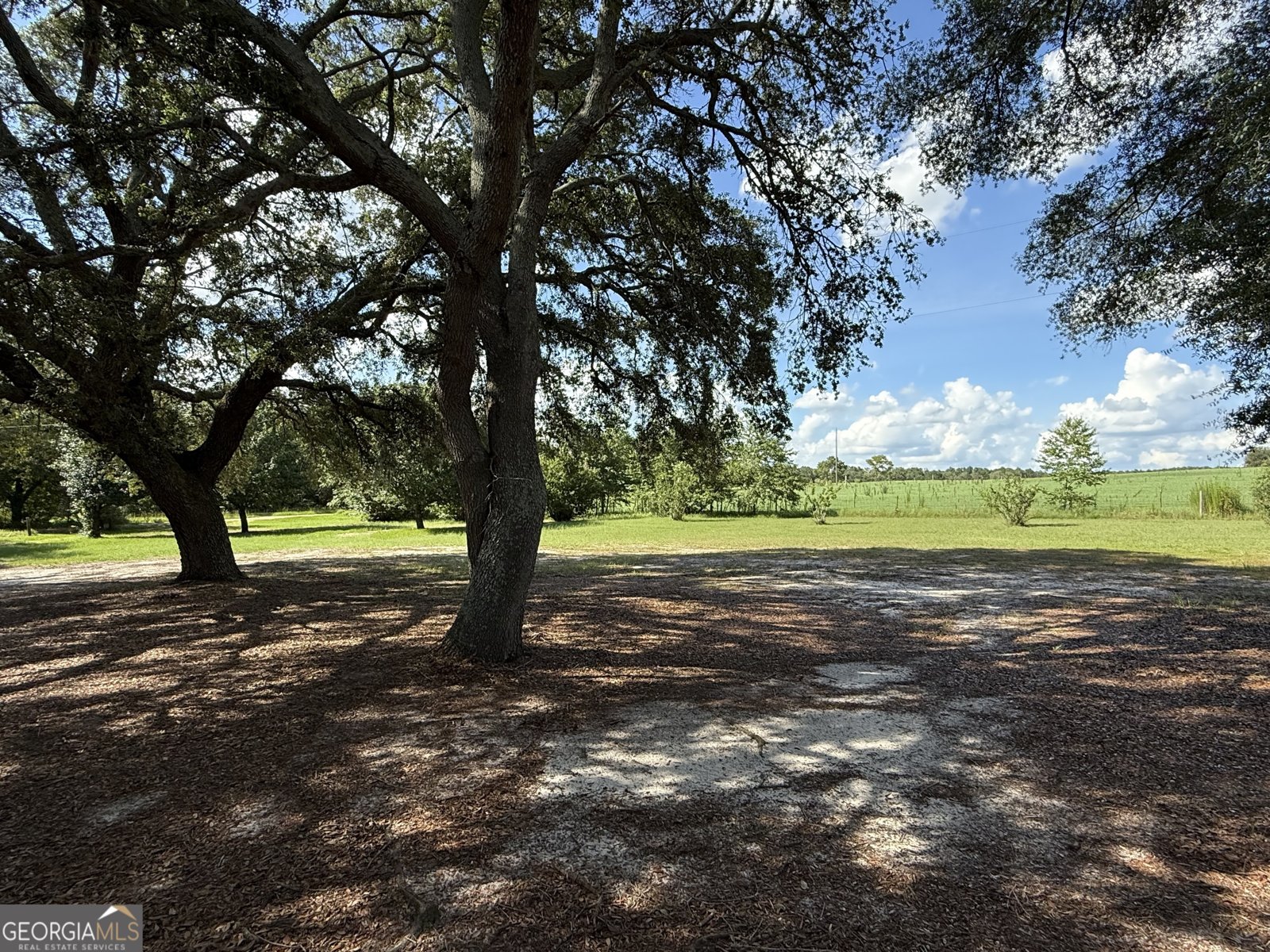 989 Harvey Hutto Road Reidsville - 7