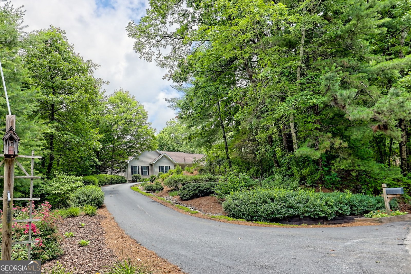 4198 Bridge Creek Road Tiger - 4