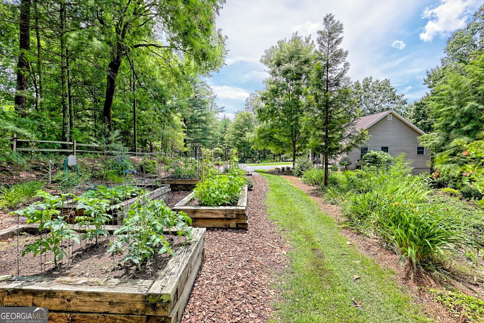 4198 Bridge Creek Road Tiger - 70