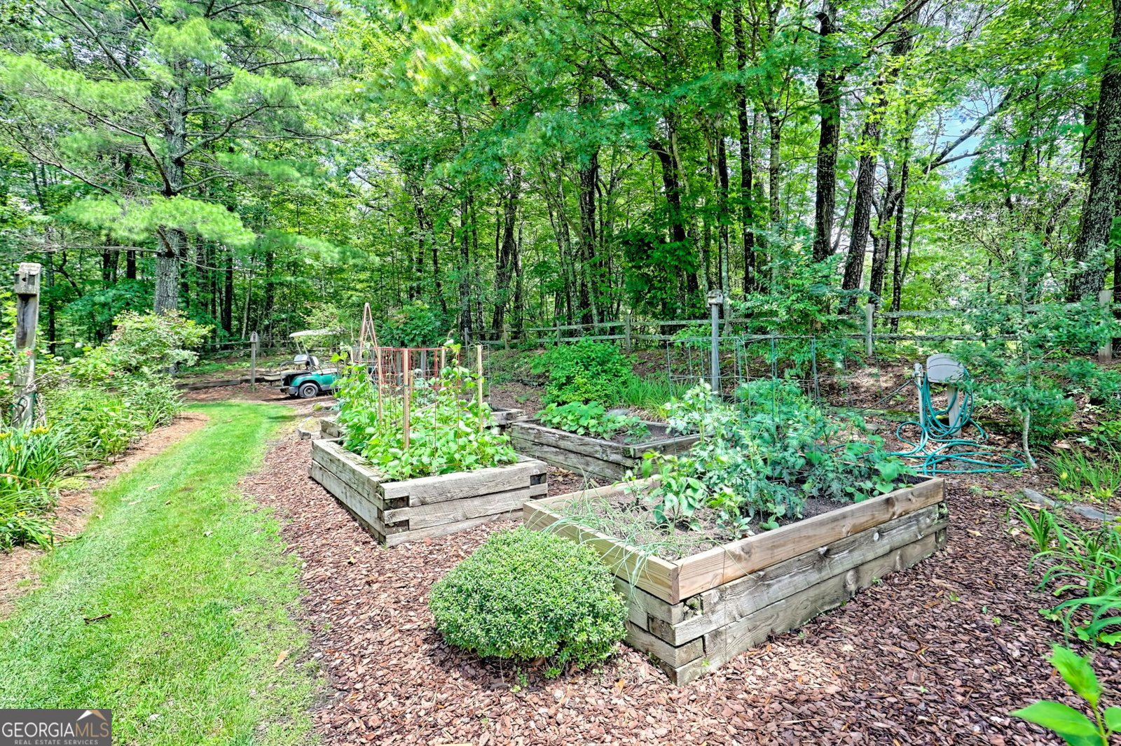 4198 Bridge Creek Road Tiger - 71