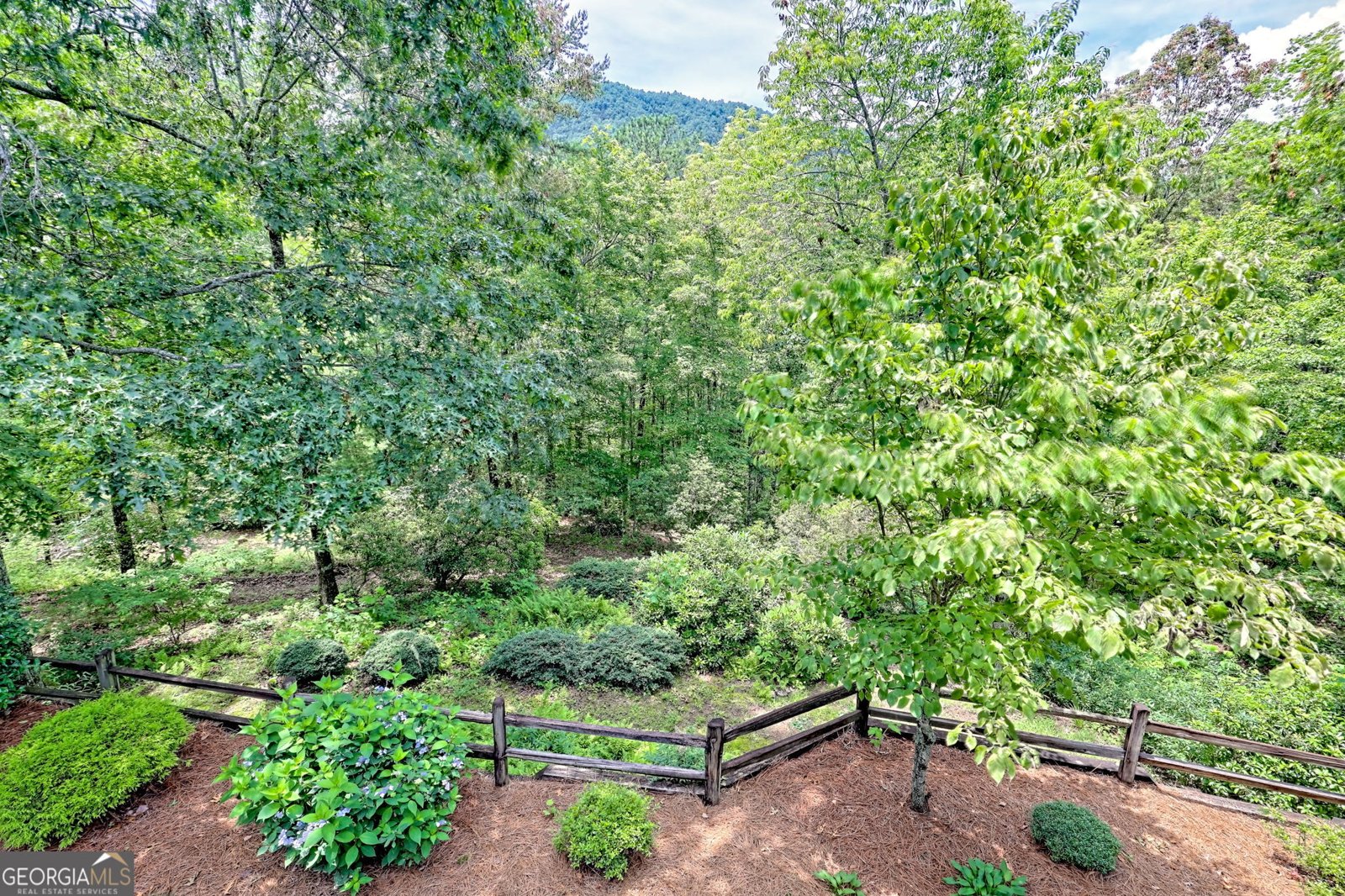 4198 Bridge Creek Road Tiger - 80