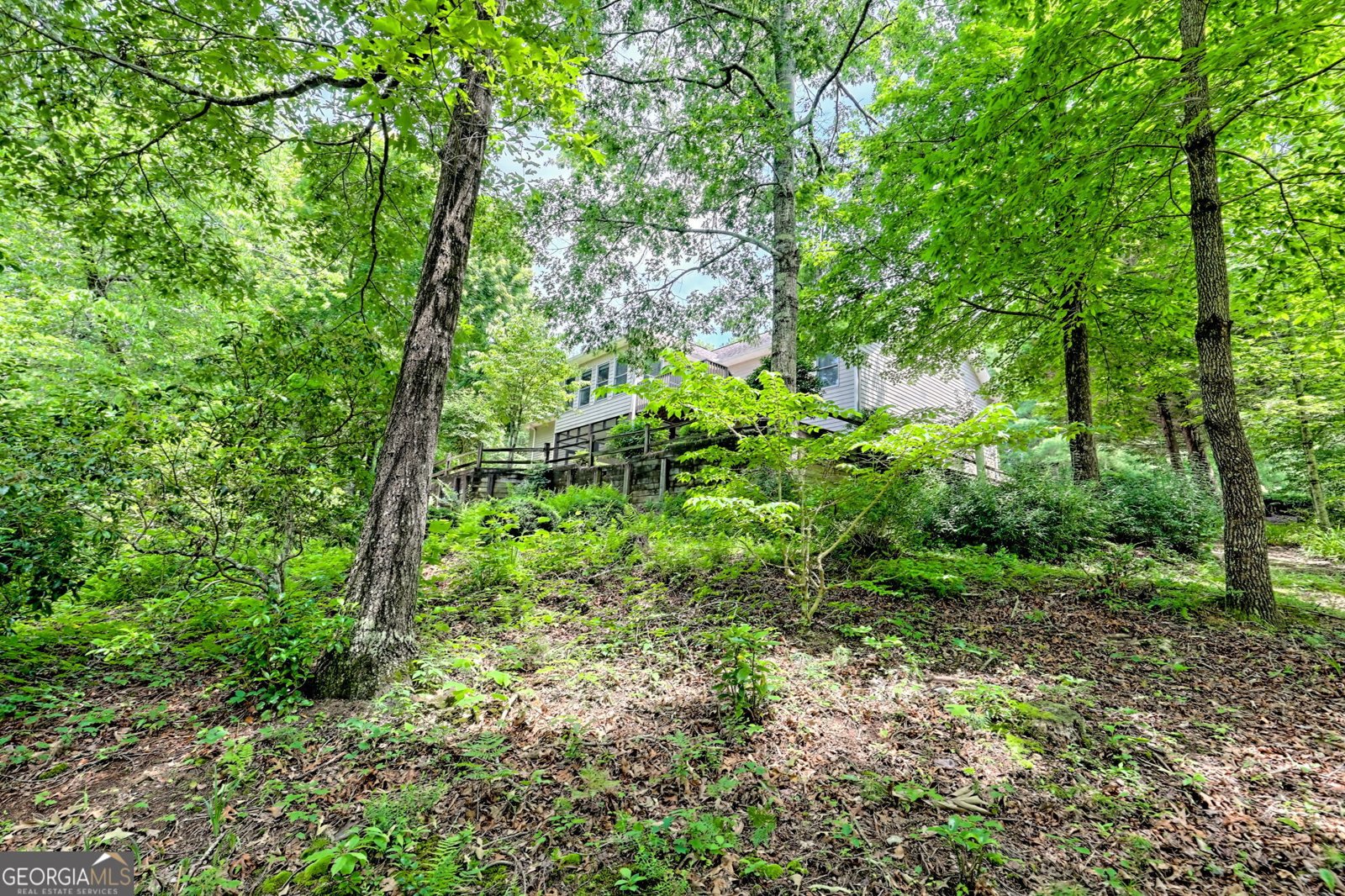 4198 Bridge Creek Road Tiger - 81