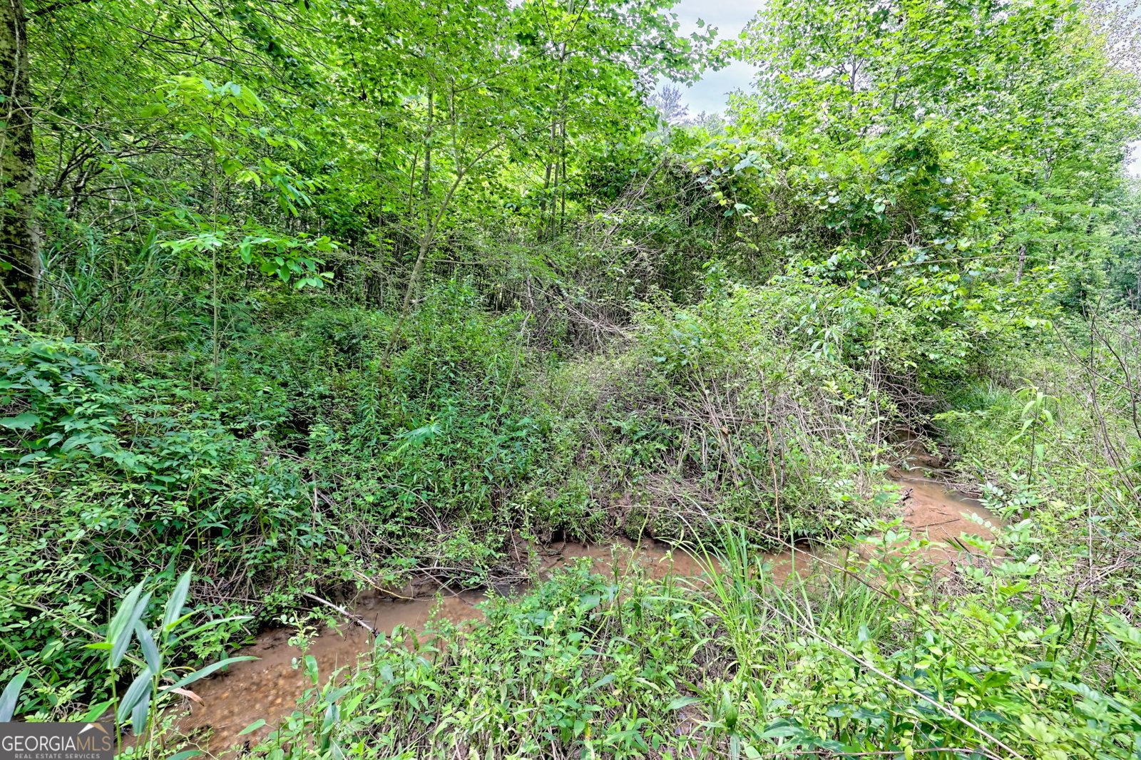 4198 Bridge Creek Road Tiger - 82