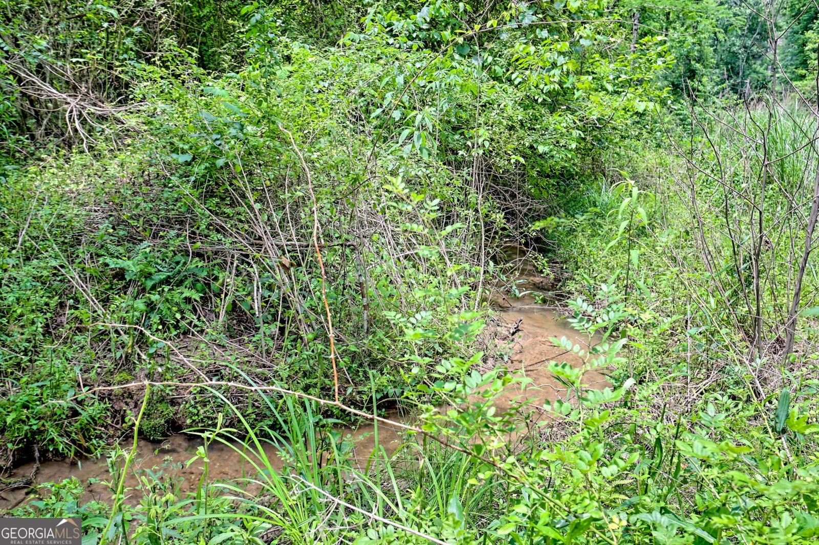 4198 Bridge Creek Road Tiger - 83