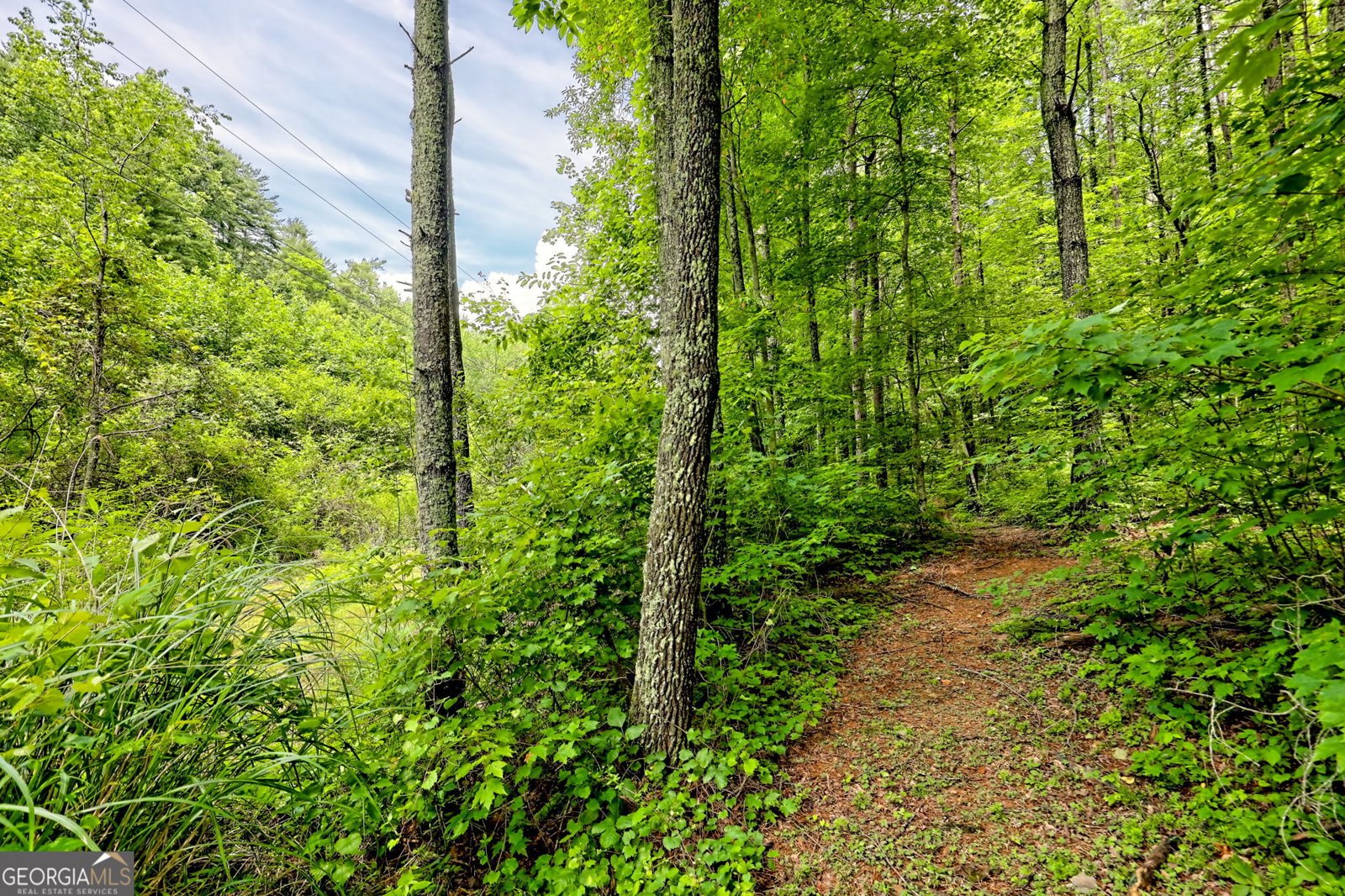 4198 Bridge Creek Road Tiger - 84