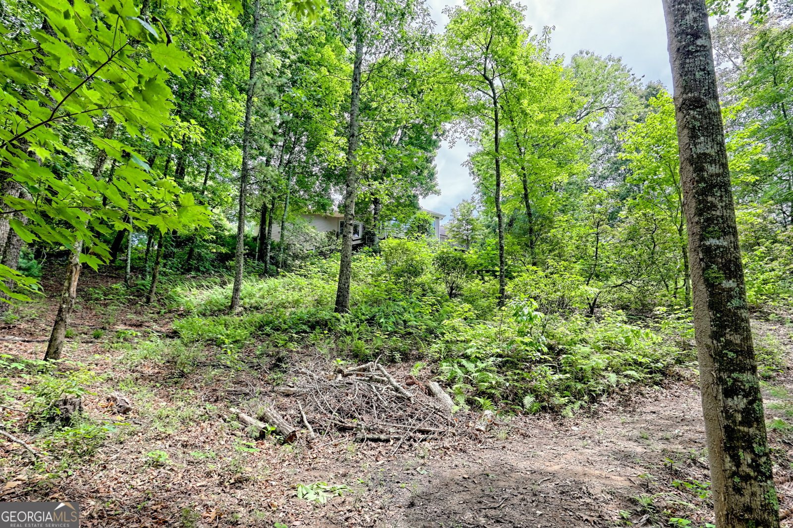 4198 Bridge Creek Road Tiger - 85
