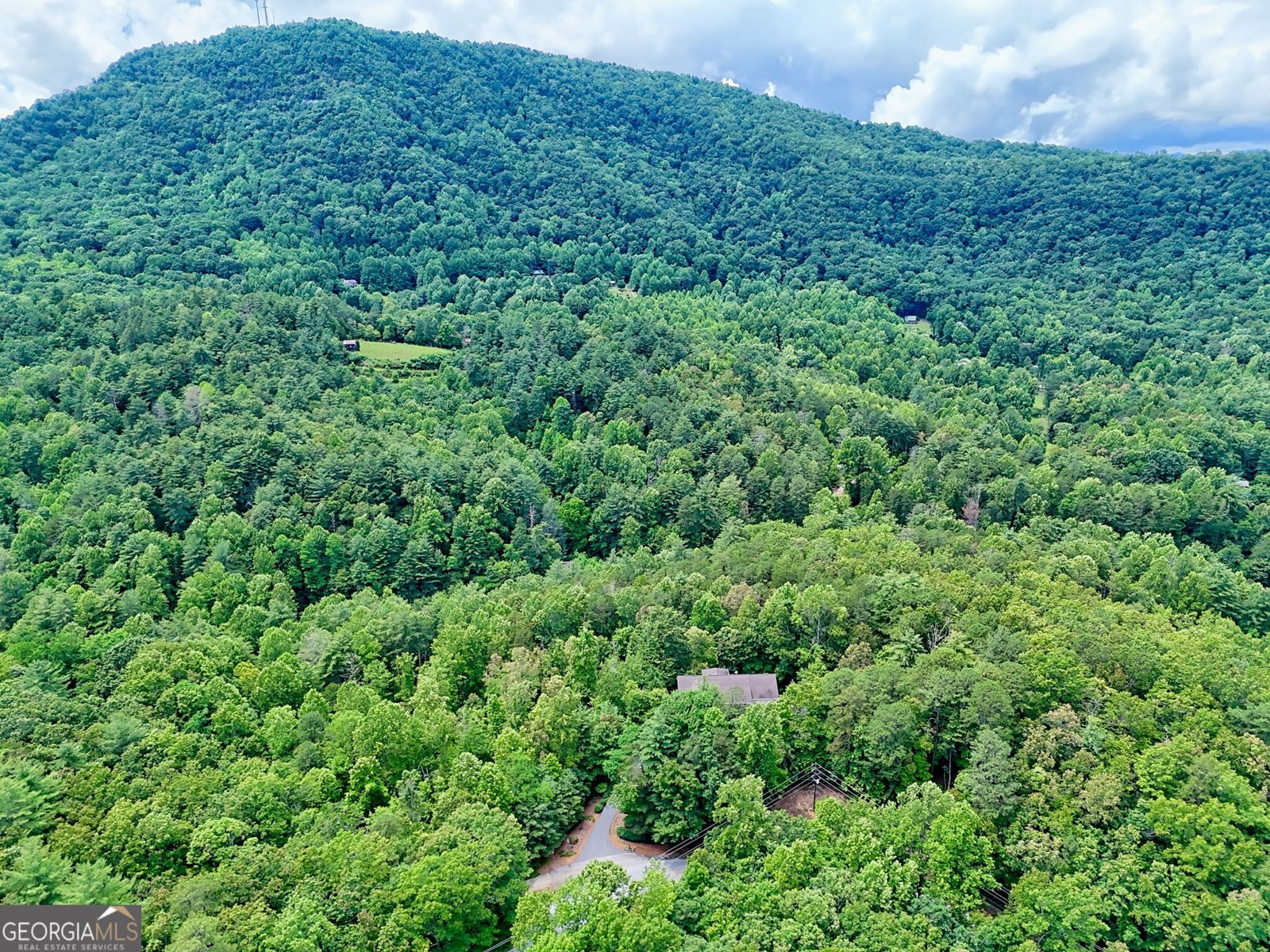4198 Bridge Creek Road Tiger - 90