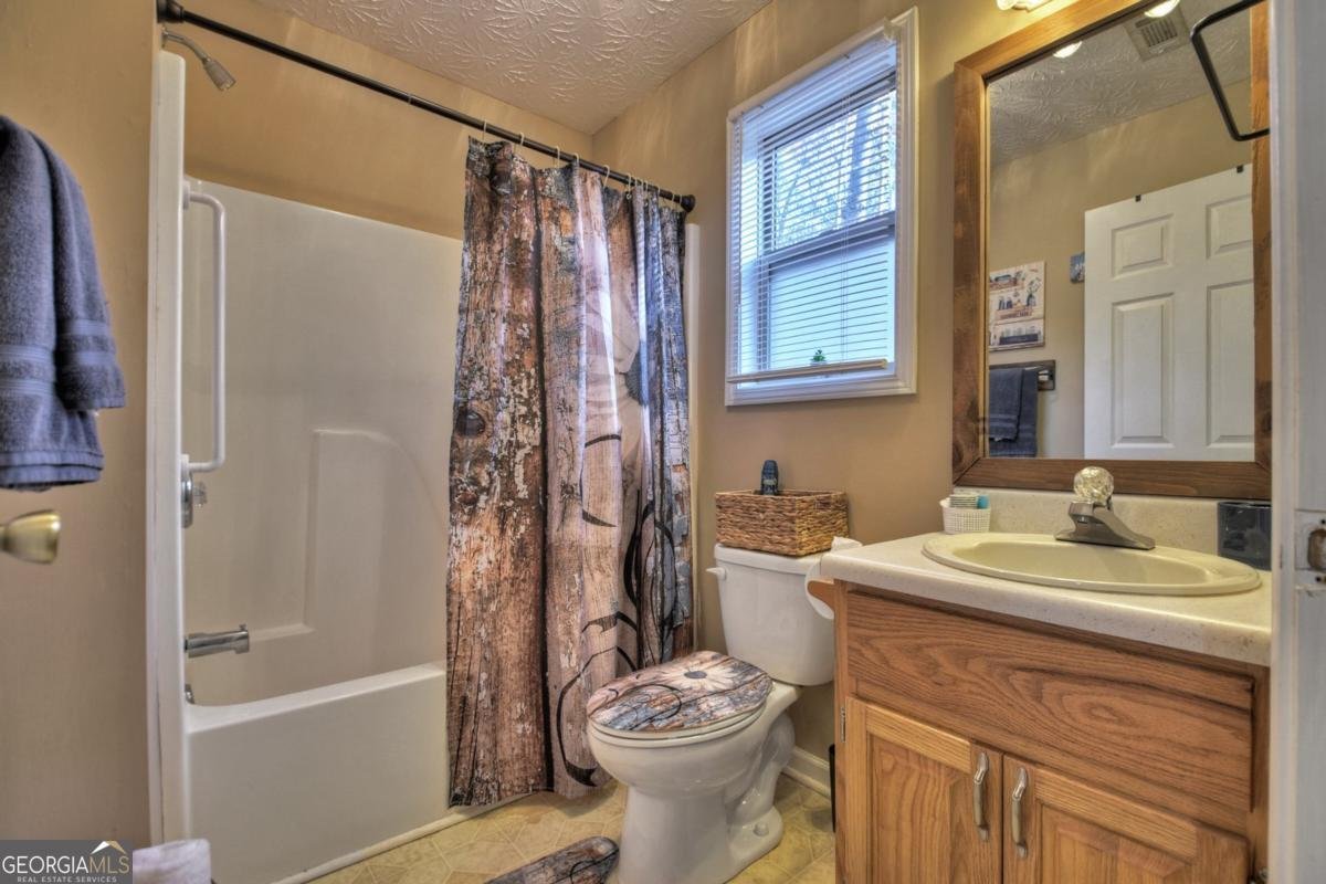 729 Matrix Lane Ellijay - 14
