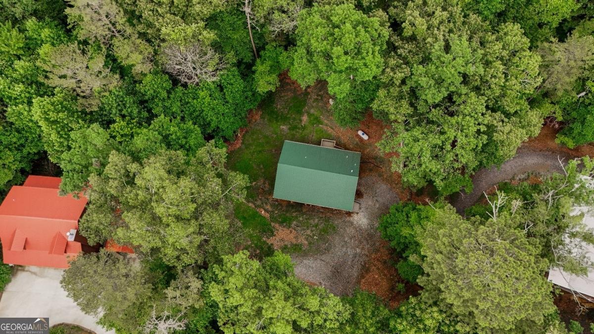 729 Matrix Lane Ellijay - 19