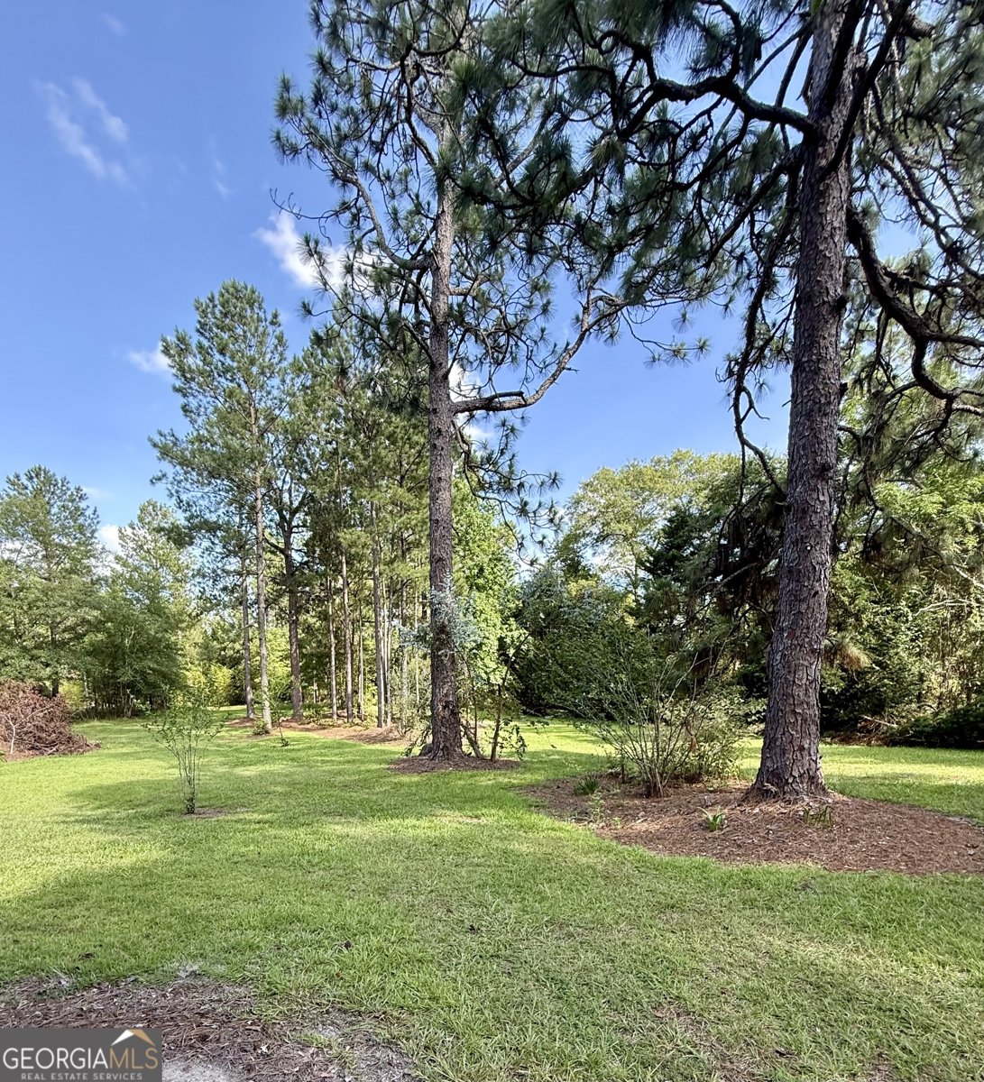 1277 Millen Hiltonia Road Sylvania - 21