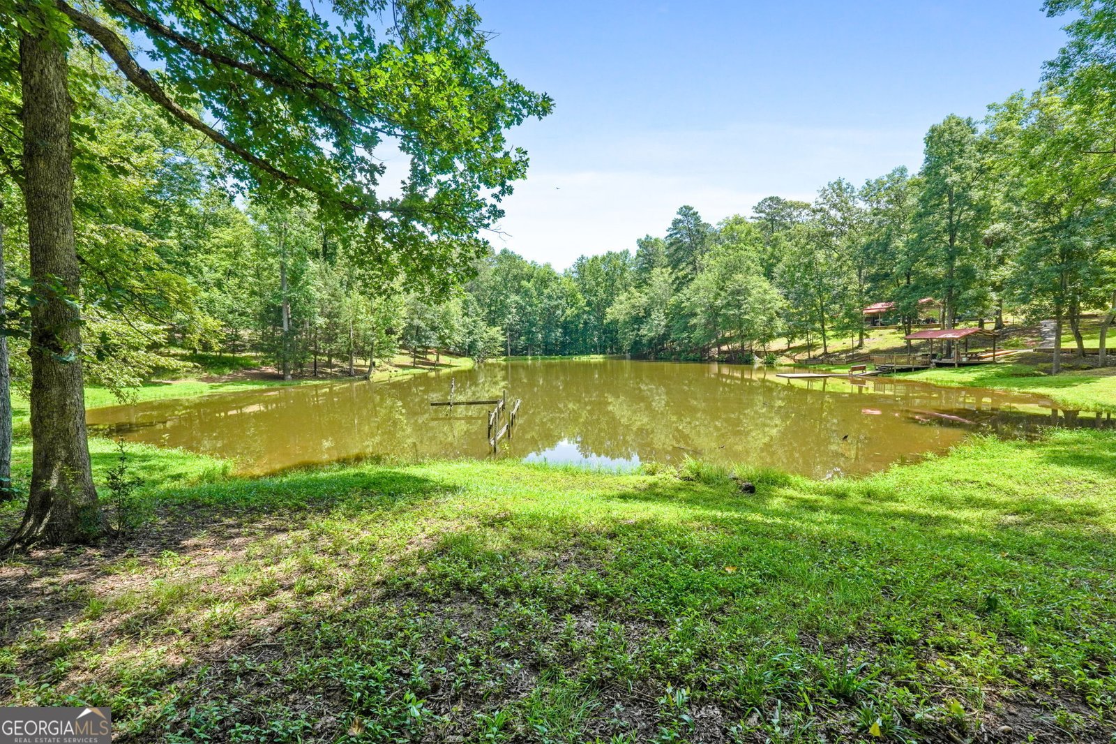 1794 Dames Ferry Road Forsyth - 25