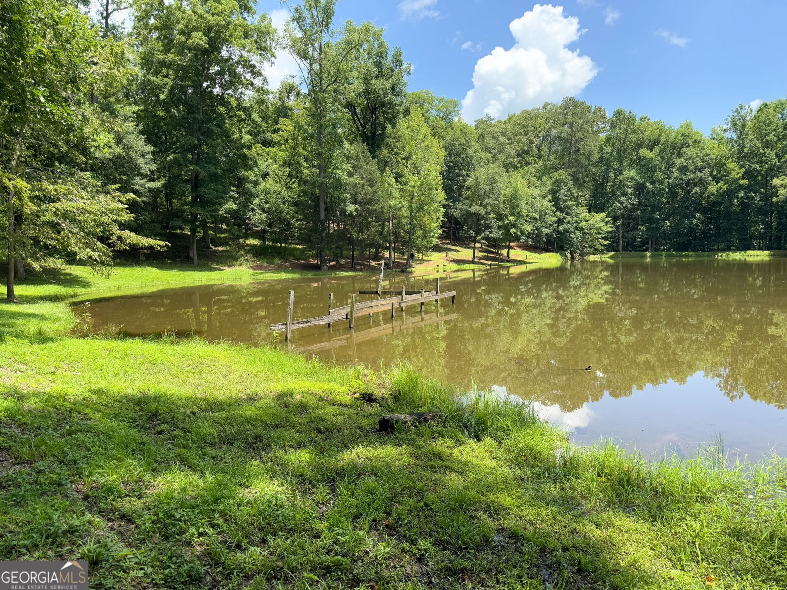 1794 Dames Ferry Road Forsyth - 26