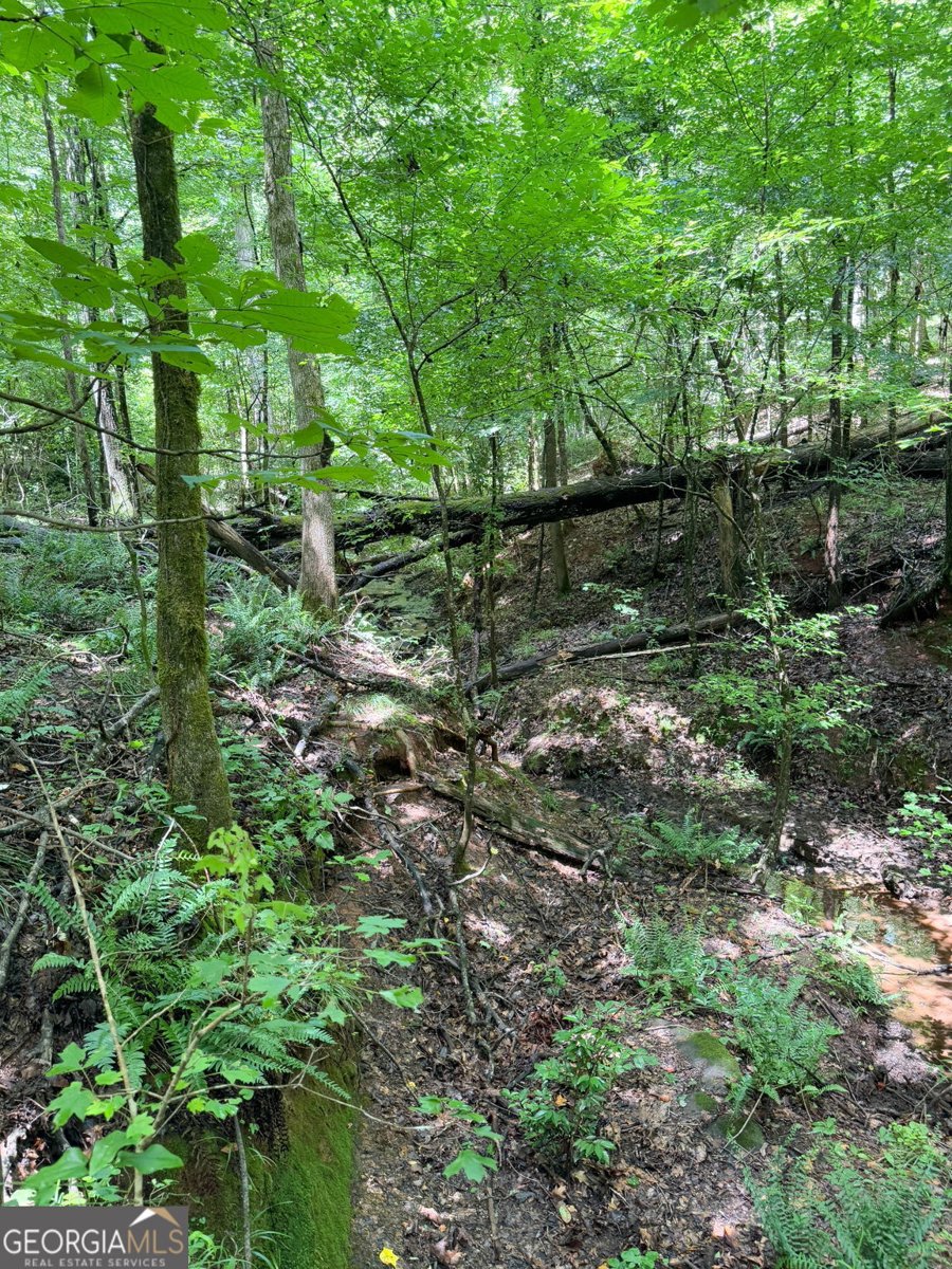 1794 Dames Ferry Road Forsyth - 28