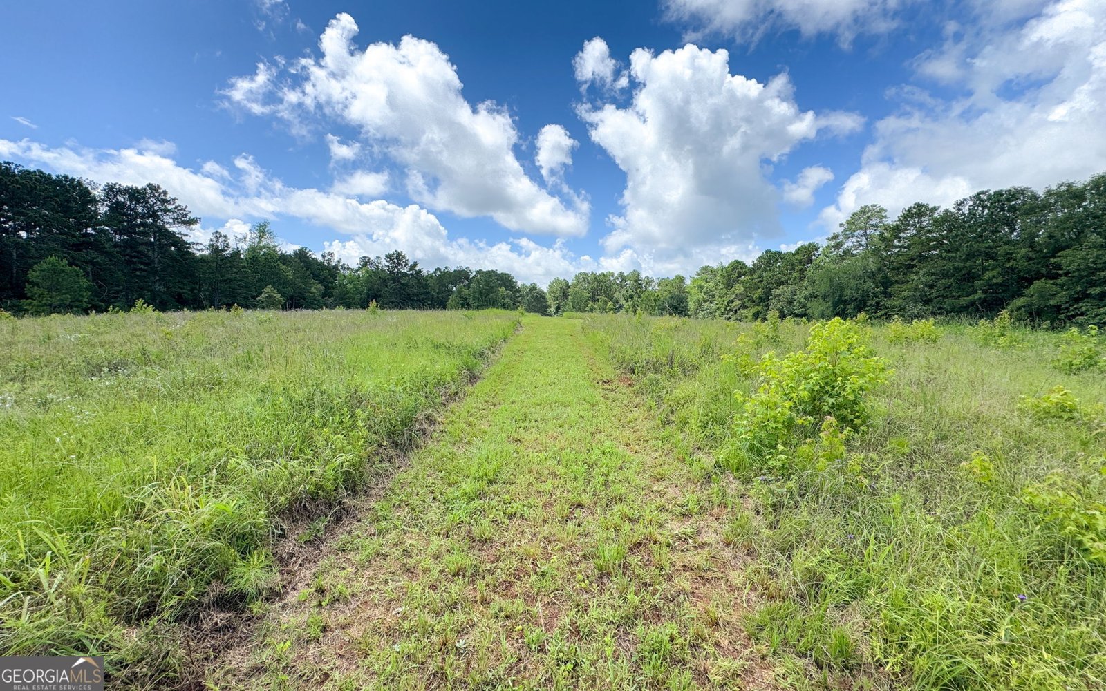 1794 Dames Ferry Road Forsyth - 30