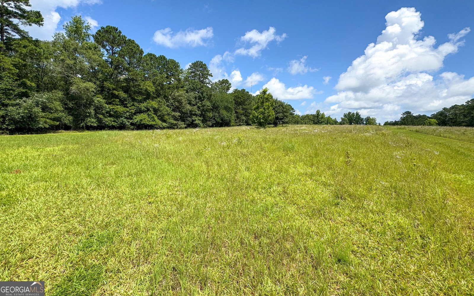 1794 Dames Ferry Road Forsyth - 31