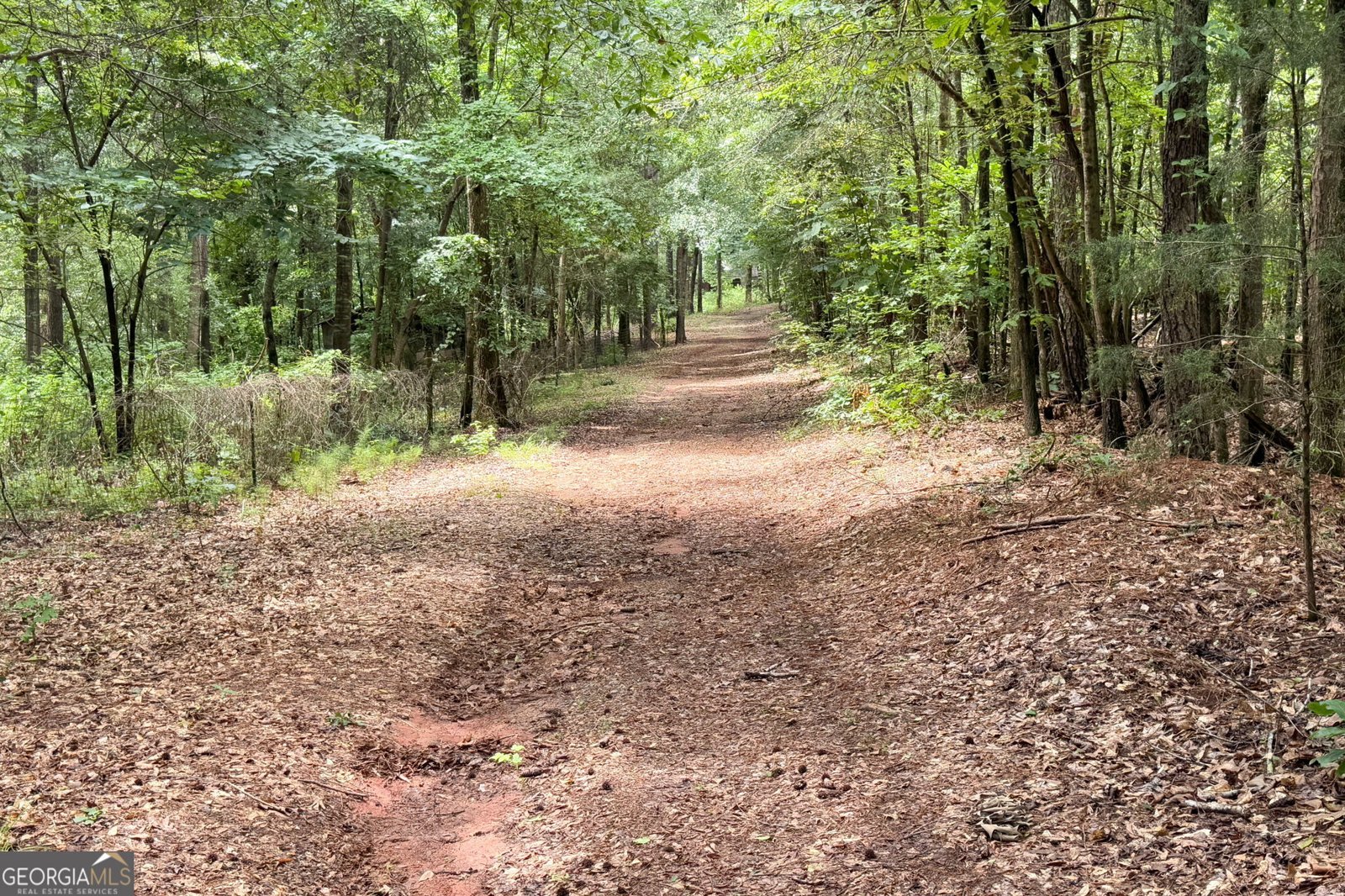 1794 Dames Ferry Road Forsyth - 32