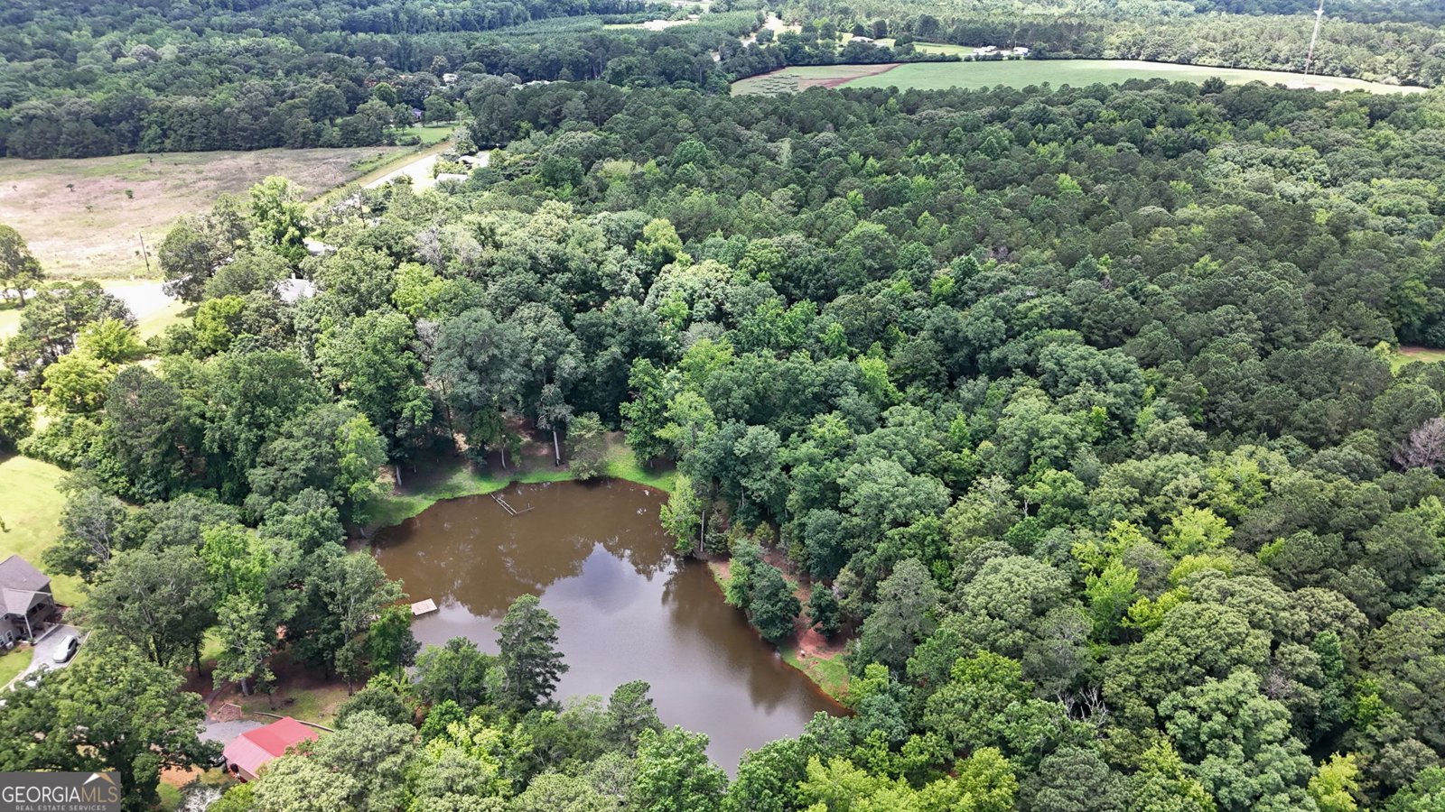 1794 Dames Ferry Road Forsyth - 37
