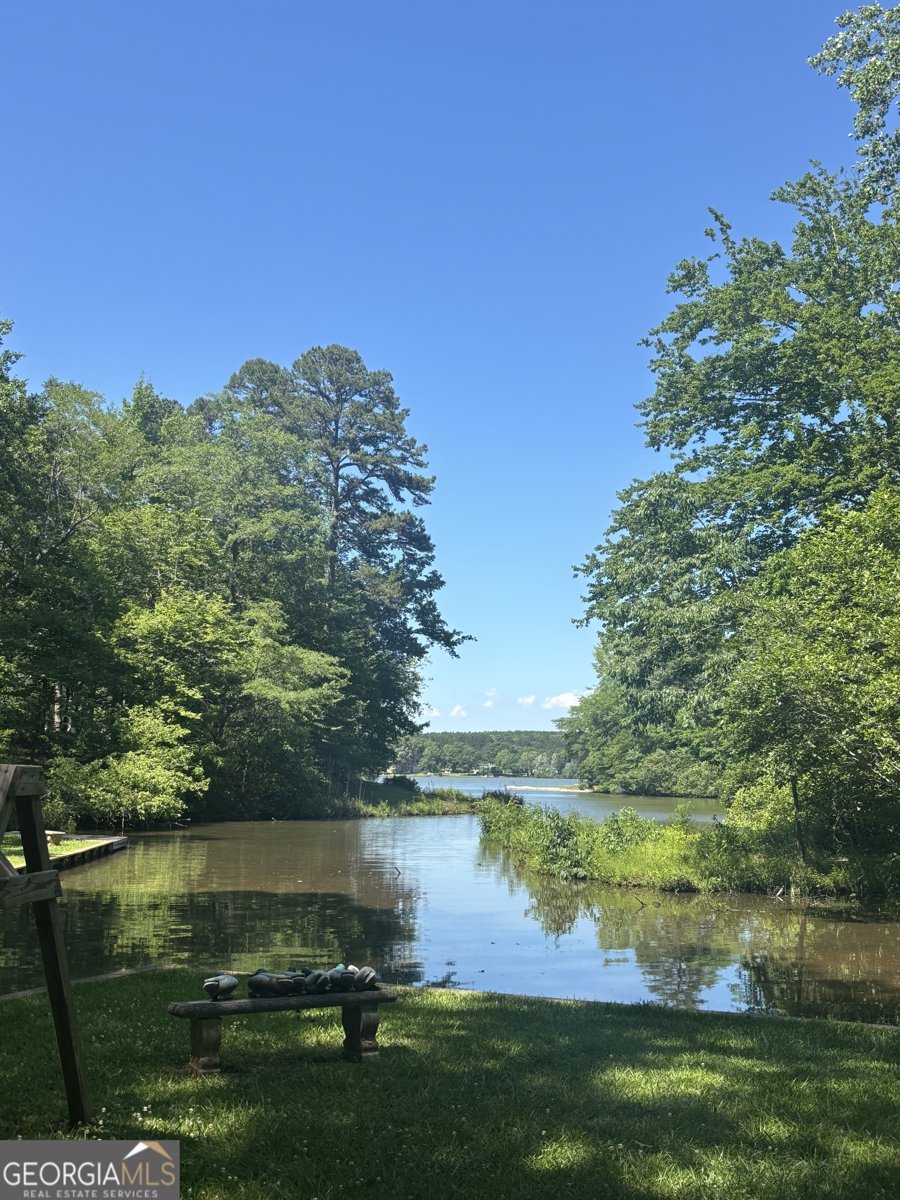 1491 Swords Trail Buckhead - 11