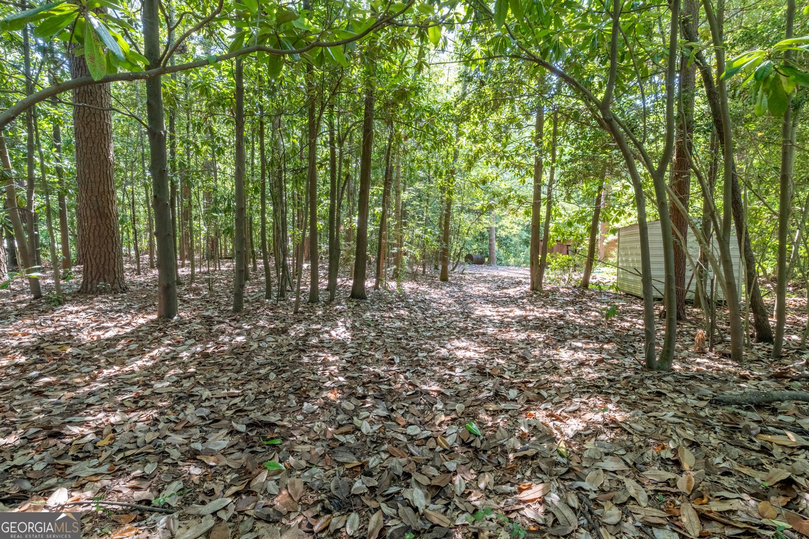 8815 Campbellton Street Douglasville - 63