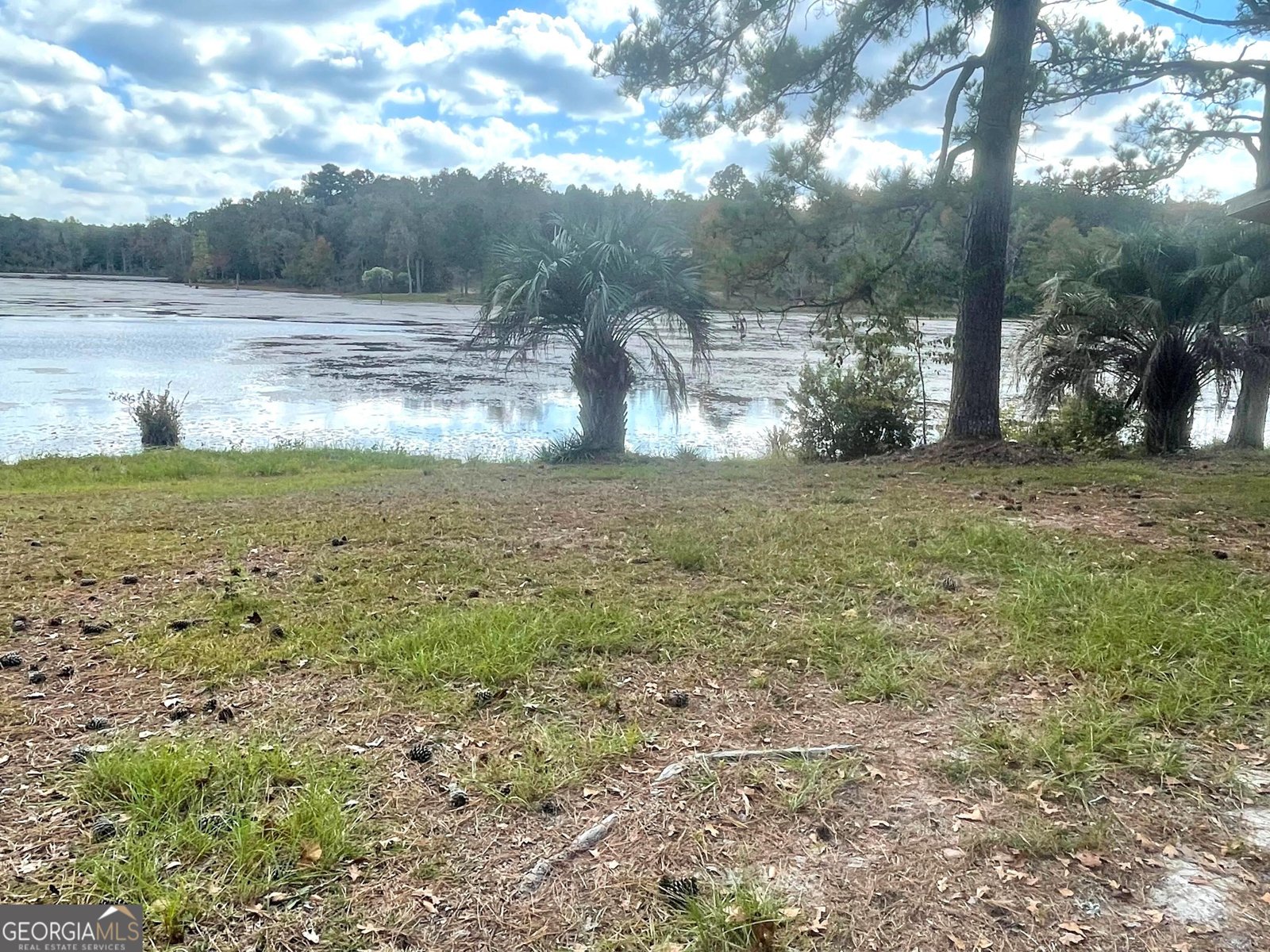 192 Lake Richardson Drive Fort Valley - 4
