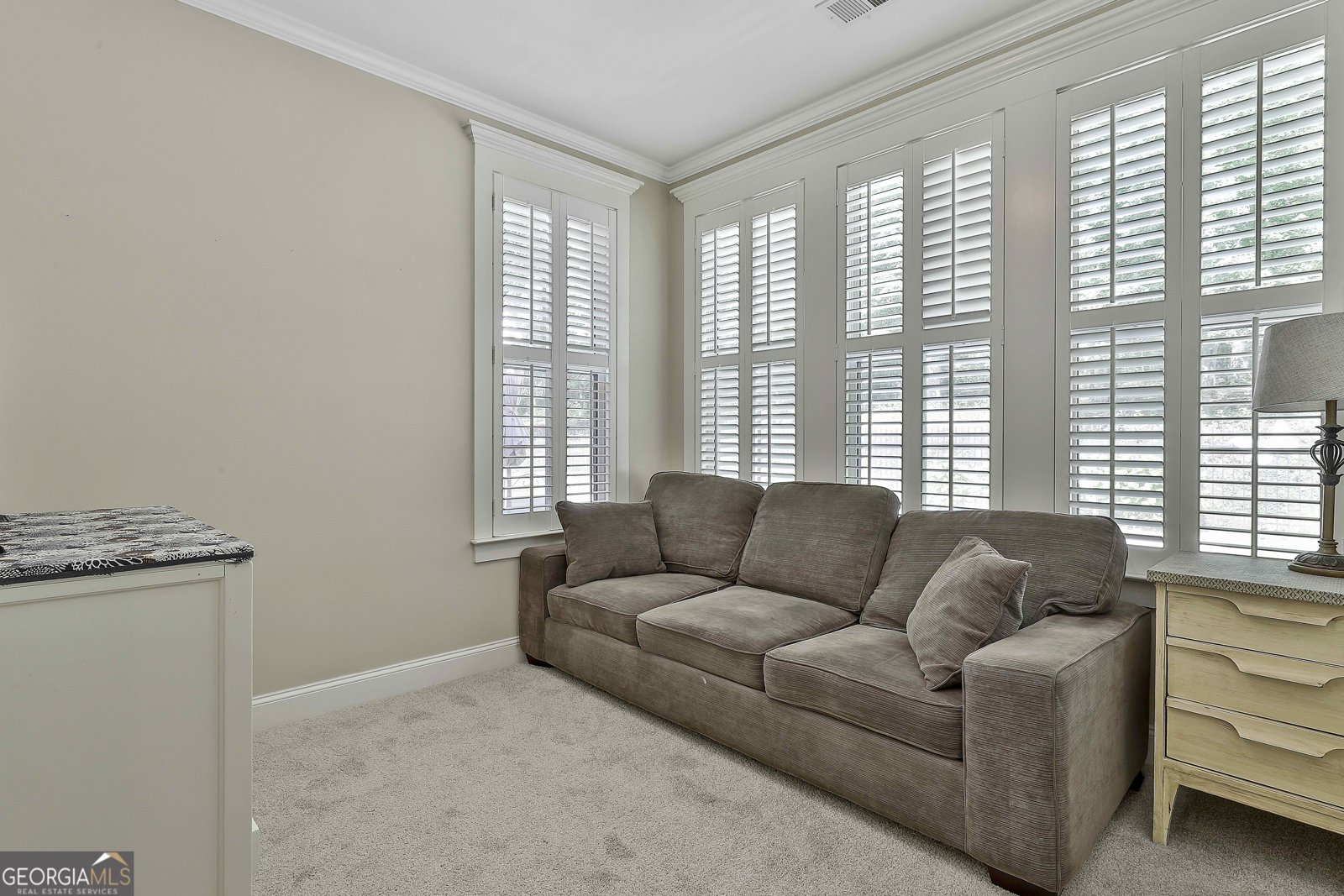 100 Emerson Ridge Trail Senoia - 29