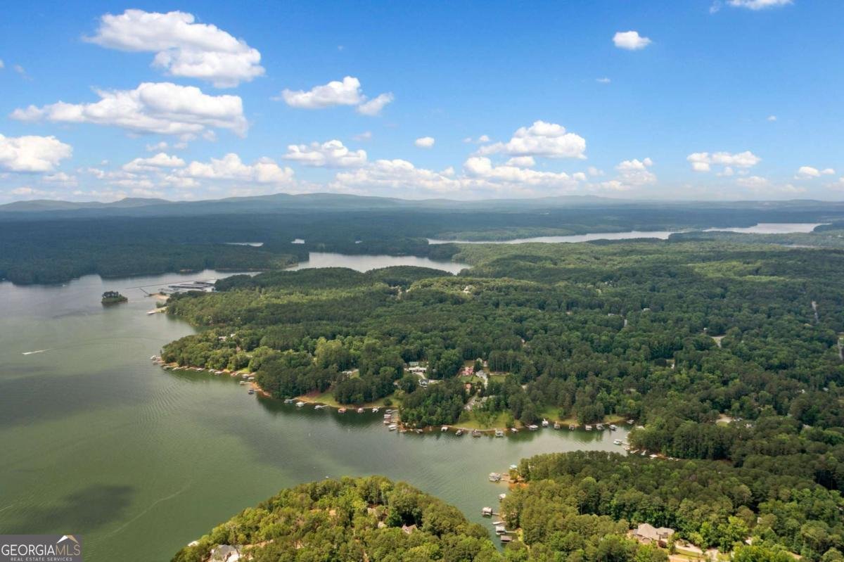 307 Little Hickory Lane Woodstock - 37
