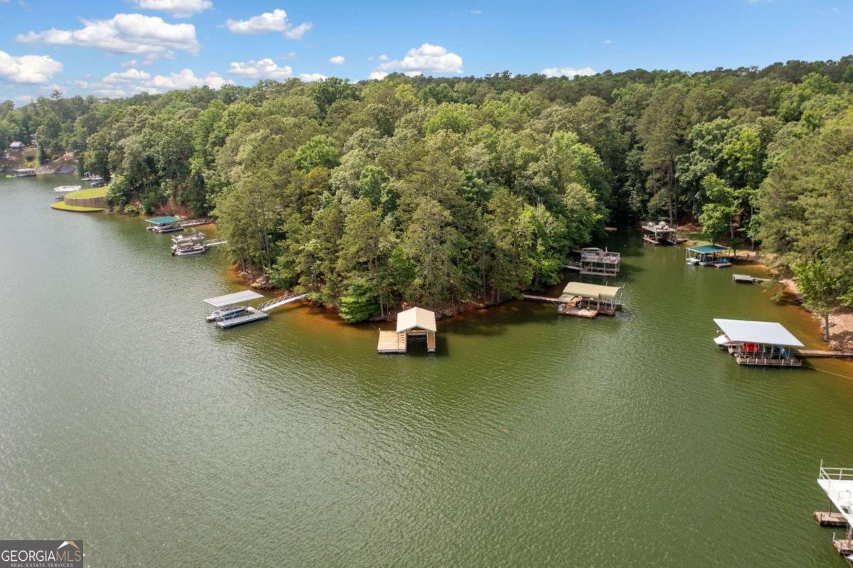 307 Little Hickory Lane Woodstock - 4