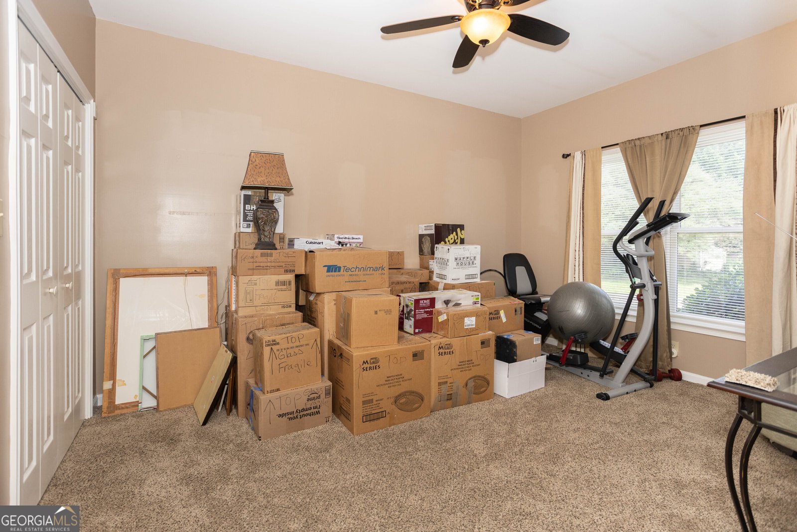 3785 Glen Ian Drive Loganville - 19