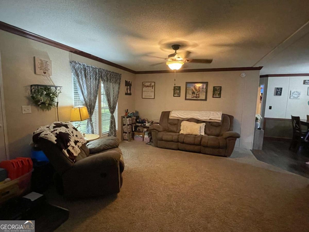 601 Auburn Road Glennville - 1
