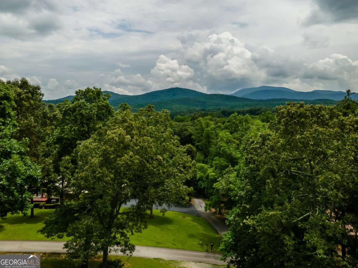 111 Hickory Trail Blairsville - 2