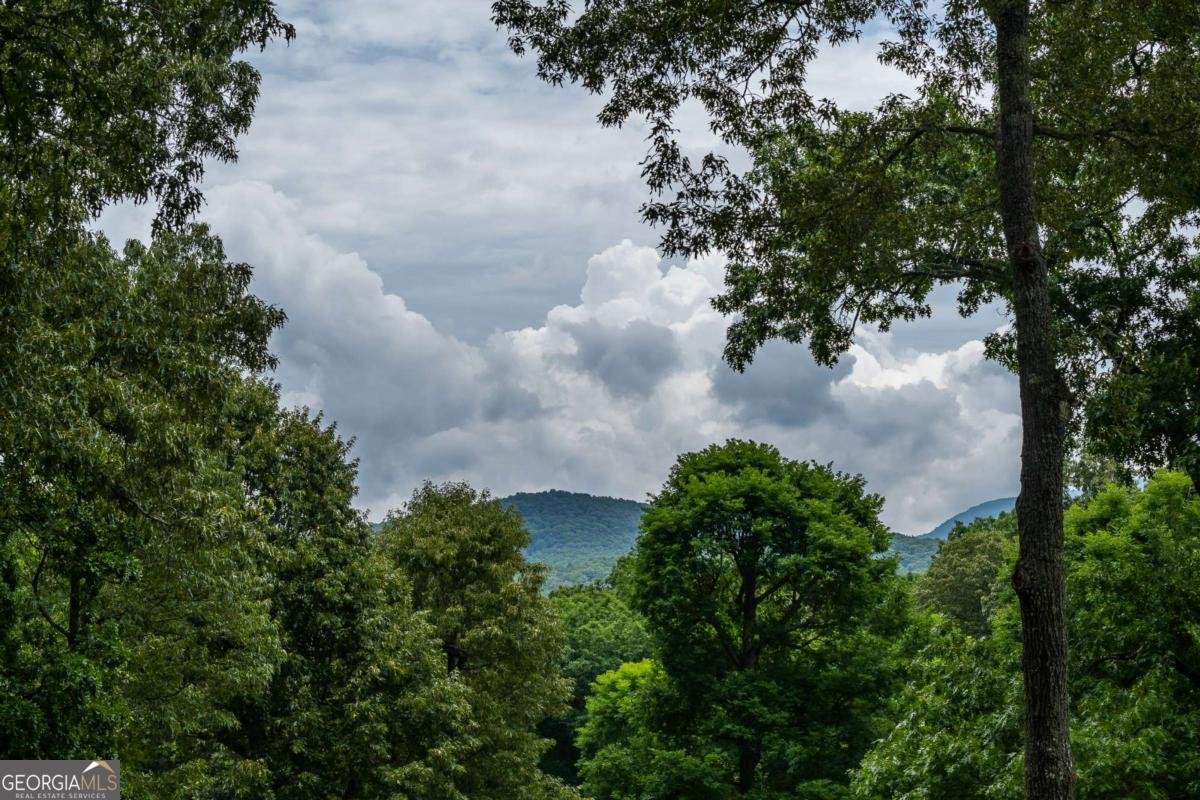 111 Hickory Trail Blairsville - 24