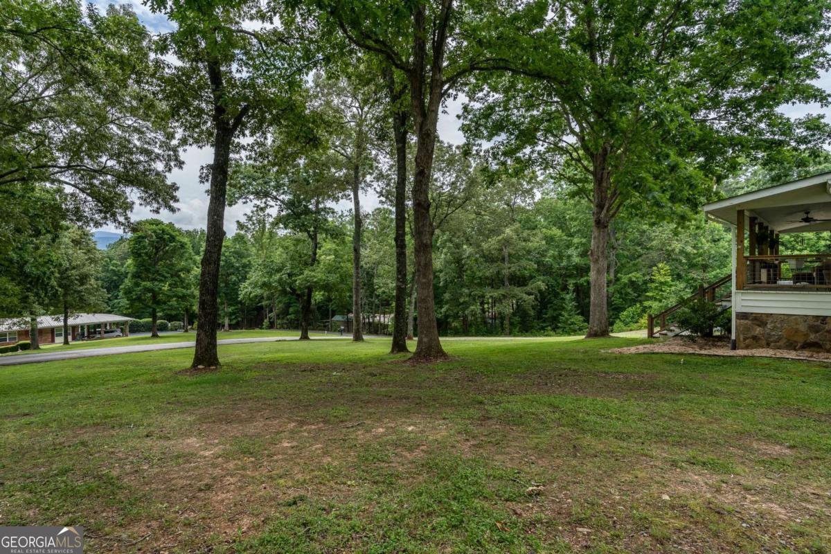 111 Hickory Trail Blairsville - 54