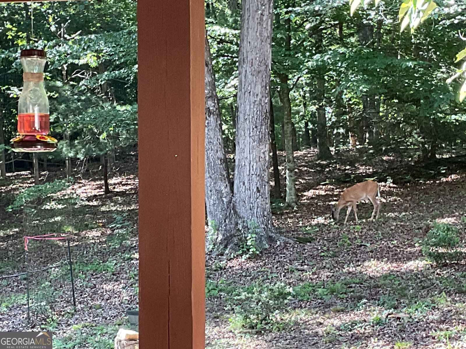 3122 Antioch Campground Road Gainesville - 33