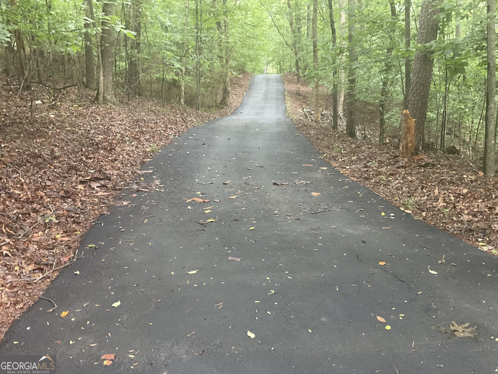 3122 Antioch Campground Road Gainesville - 34