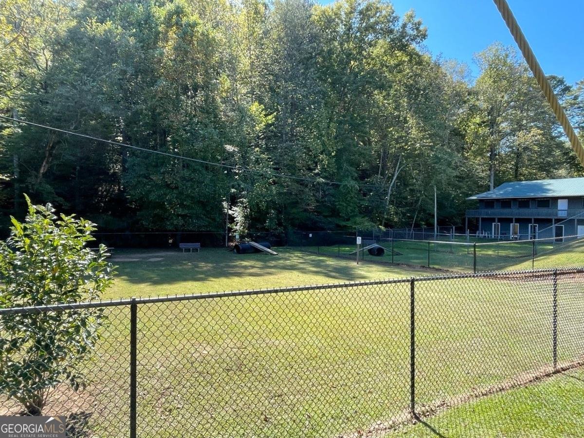 173 Nexus Drive Ellijay - 28