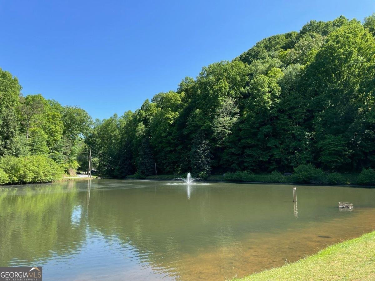 173 Nexus Drive Ellijay - 35